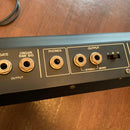Analog Synthesizer Roland Rs-09