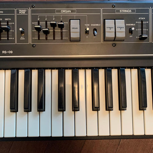 Analog Synthesizer Roland Rs-09