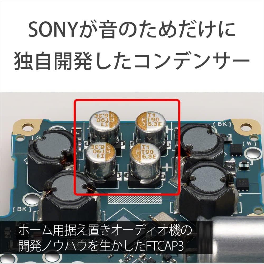 Sony Digital Audio Player 64Gb Nw-Zx707