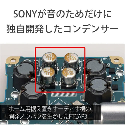 Sony Digital Audio Player 64Gb Nw-Zx707