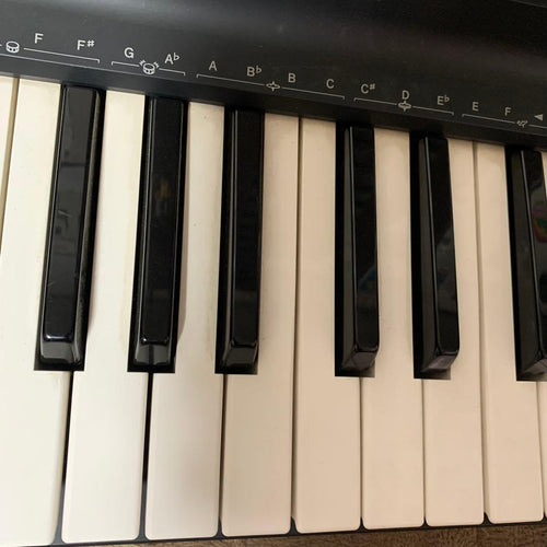 Keyboards Digital Pianos Casio Tone Bank Ct-655