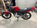 Yamaha Motorcycle Body Ybr125