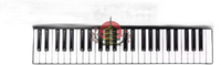 Others Roland Midi A-500Pro-R 49