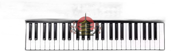 Others Roland Midi A-500Pro-R 49