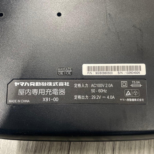 Charger X91-00