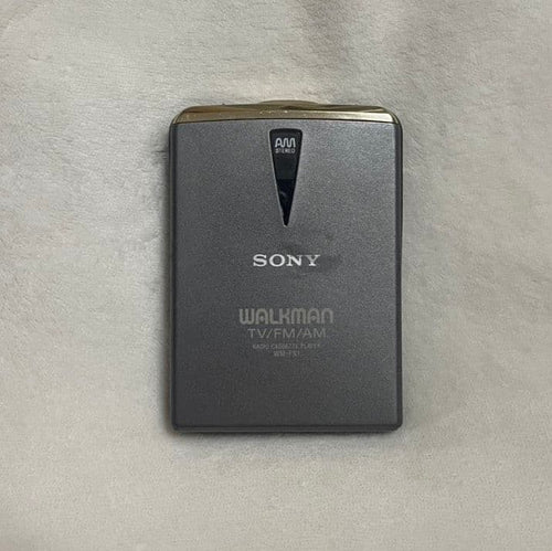 Sony Digital Audio Players Walkman Wm-Fx1