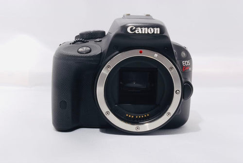 Canon Digital Slrs Eos Kiss X7