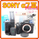 Sony Mirrorless Interchangeable Lips 7 Ilce-7M3