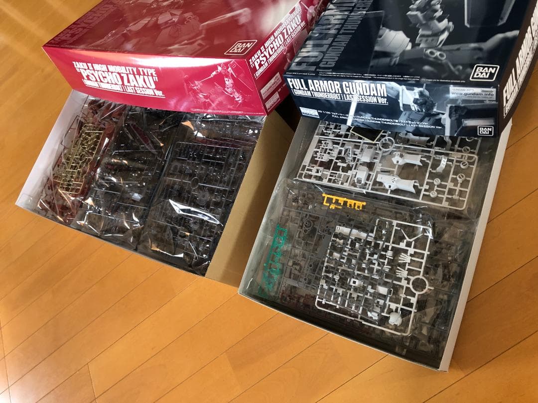 Mg (Master Grade) 1/100