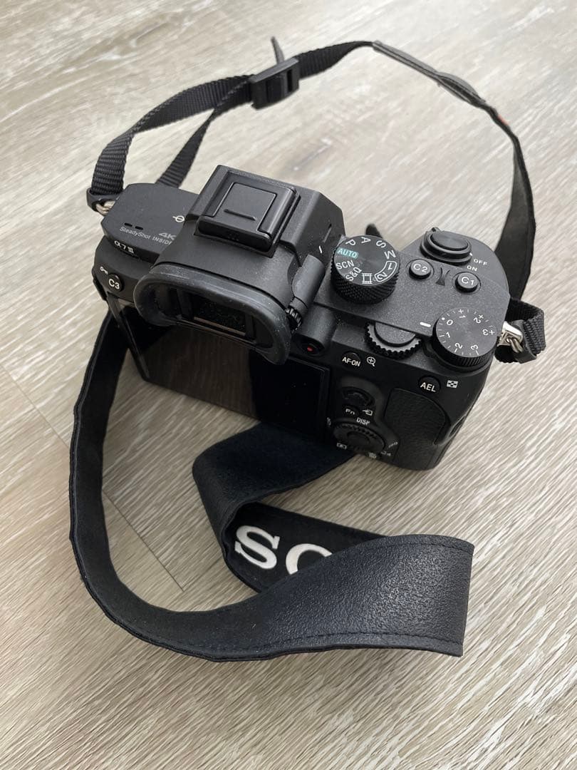 Sony Mirrorless Interchangeable Lens Cameras 7Iii