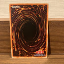 Yu -Gi -Oh! Ocg Duel Monsters 306-025