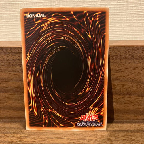 Yu -Gi -Oh! Ocg Duel Monsters 306-025