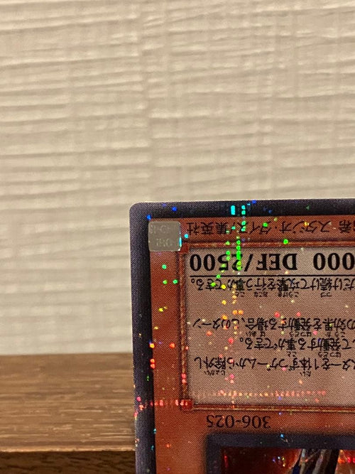 Yu -Gi -Oh! Ocg Duel Monsters 306-025