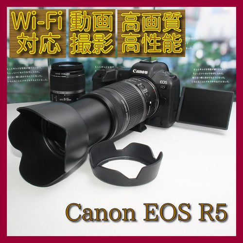 Canon Digital Slr Eos R