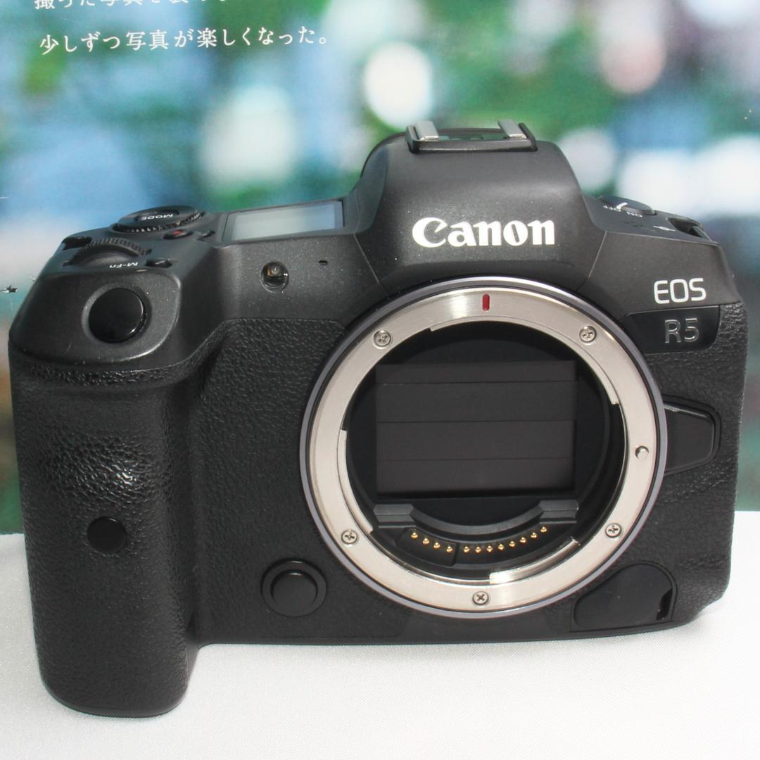 Canon Digital Slr Eos R