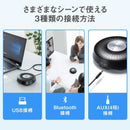 Sanwa Pc Speaker Mm-Btmsp1