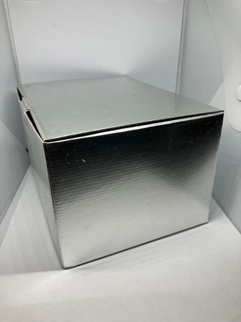 Leica Camera Cases D-Lux4 Ti