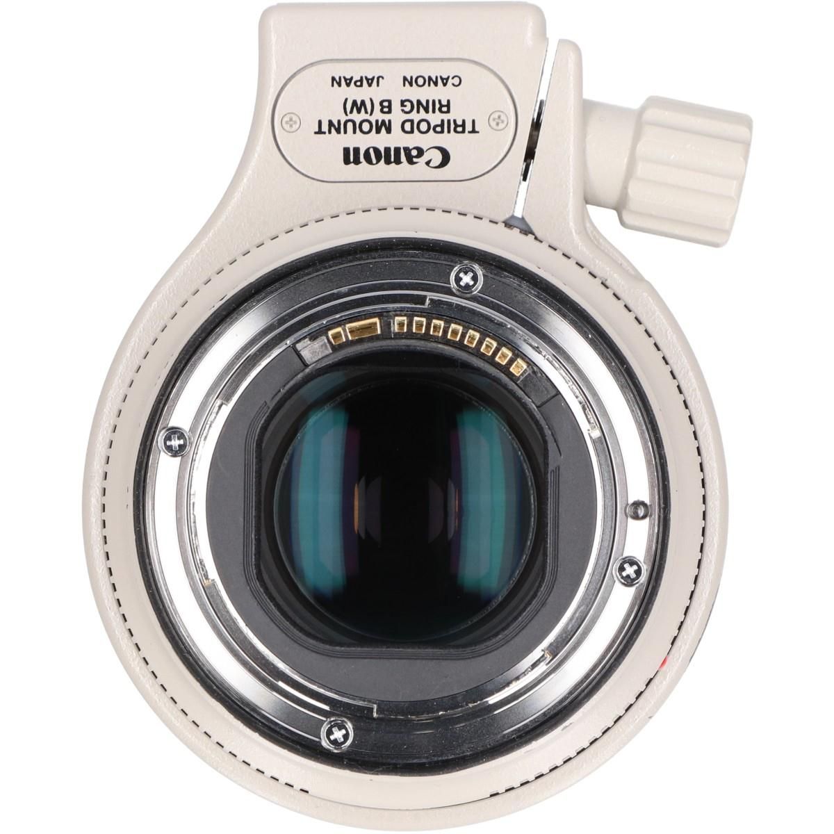 Canon Lens (Single Focus)