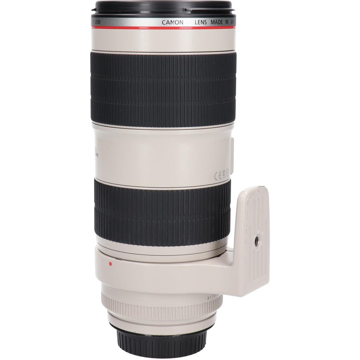 Canon Lens (Single Focus)