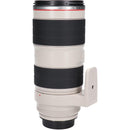 Canon Lens (Single Focus)