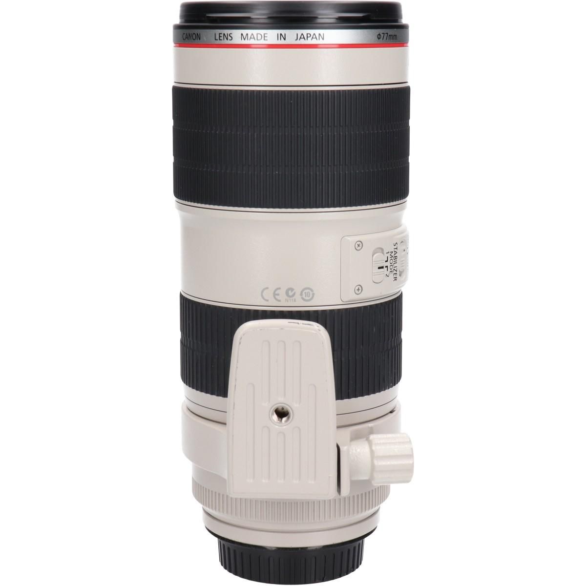 Canon Lens (Single Focus)