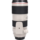 Canon Lens (Single Focus)