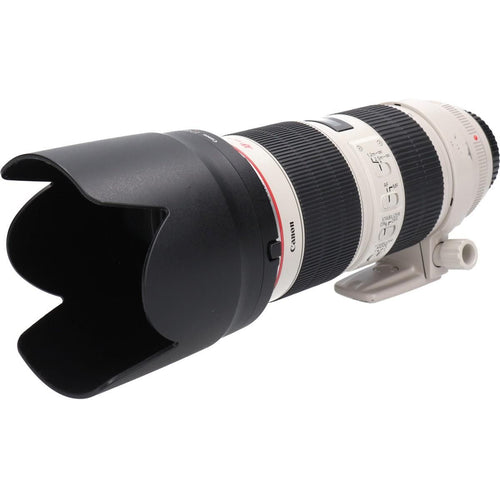 Canon Lens (Single Focus)