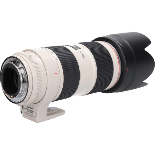 Canon Lens (Single Focus)