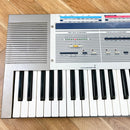 Analog Synthesizer Korg Sas-20