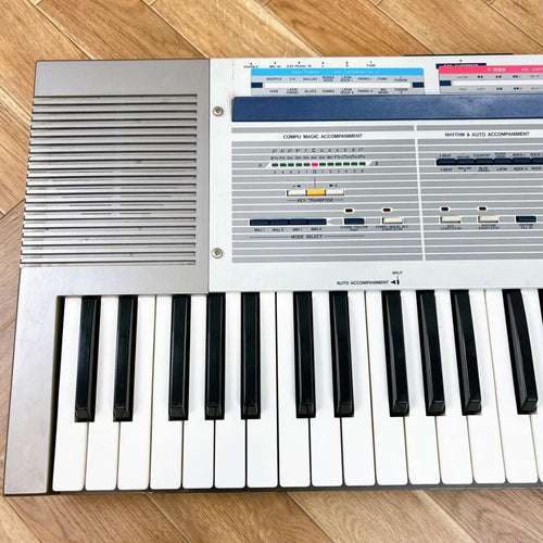 Analog Synthesizer Korg Sas-20
