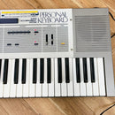 Analog Synthesizer Korg Sas-20
