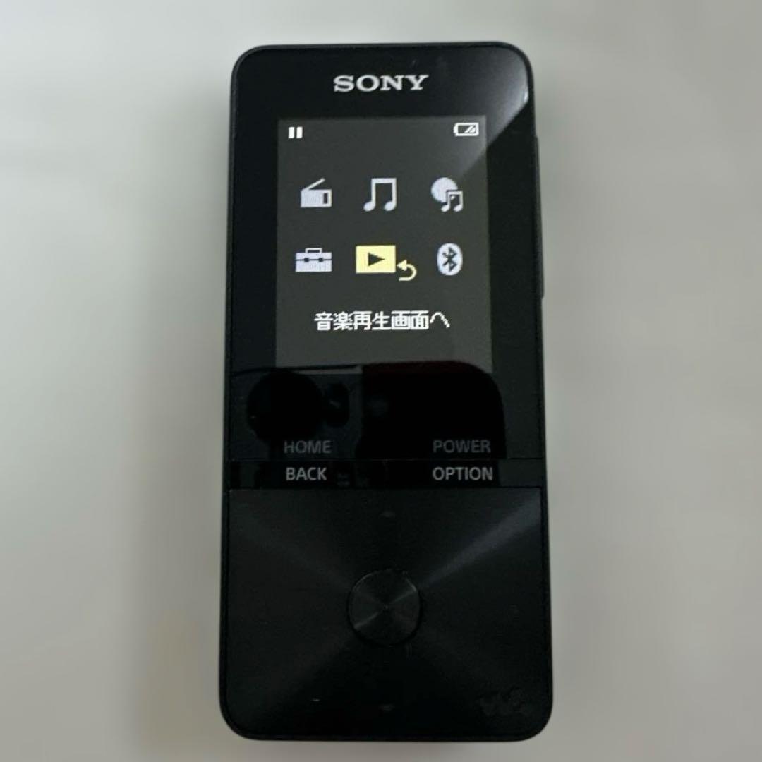 Sony Digital Audio Players Nw-S313 4Gb Bluetooth