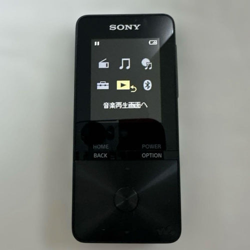 Sony Digital Audio Players Nw-S313 4Gb Bluetooth