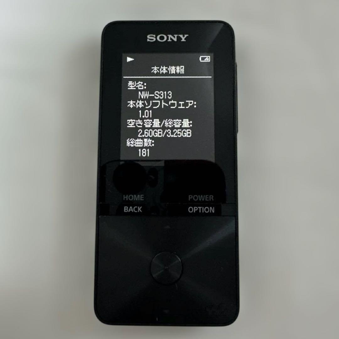 Sony Digital Audio Players Nw-S313 4Gb Bluetooth