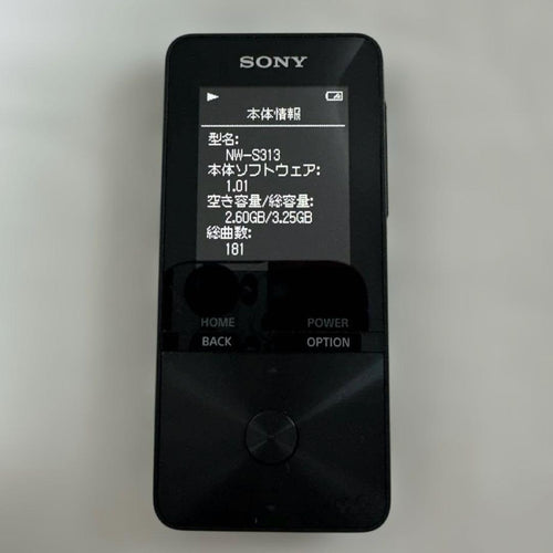 Sony Digital Audio Players Nw-S313 4Gb Bluetooth