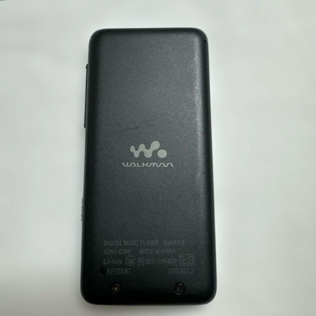 Sony Digital Audio Players Nw-S313 4Gb Bluetooth