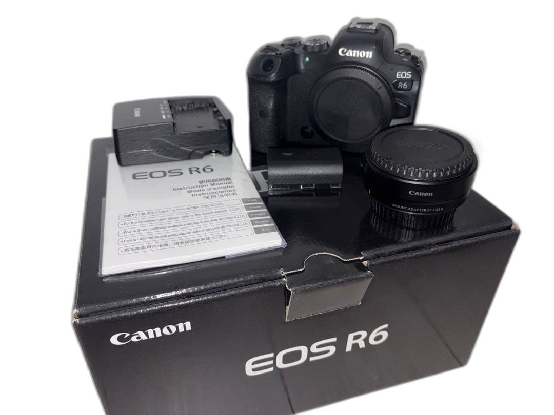 Canon Mirrorless Interchangeable Lips Eos R6