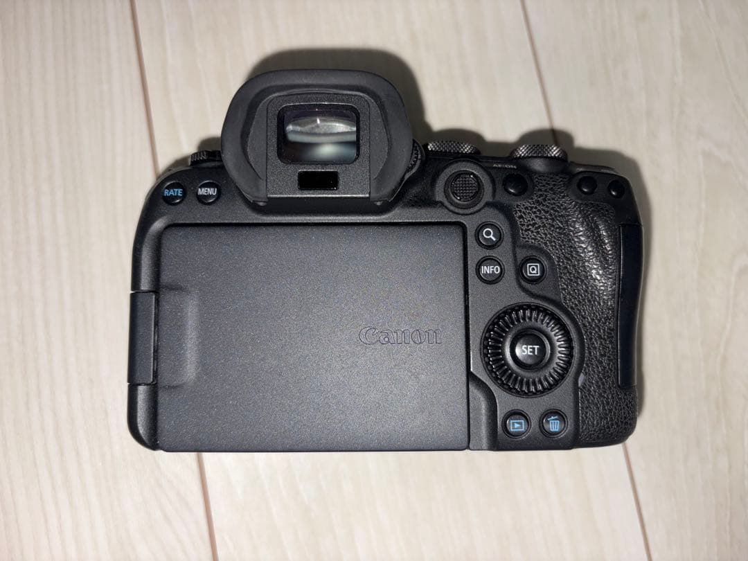 Canon Mirrorless Interchangeable Lips Eos R6