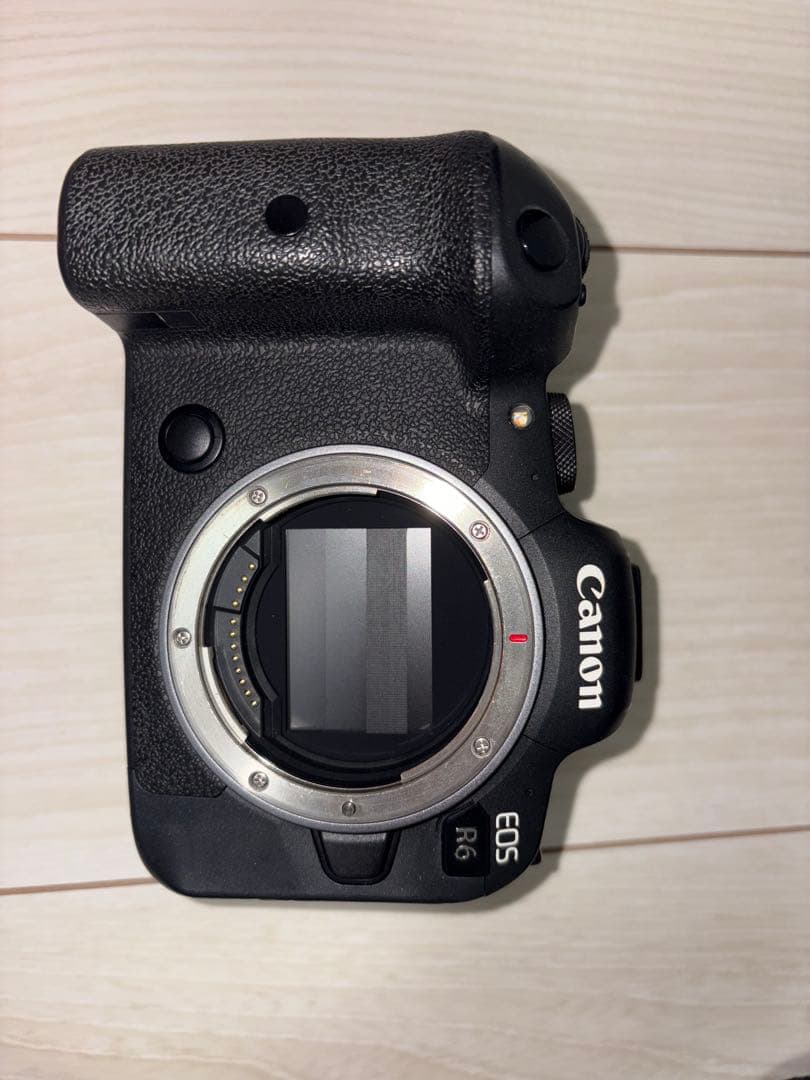 Canon Mirrorless Interchangeable Lips Eos R6
