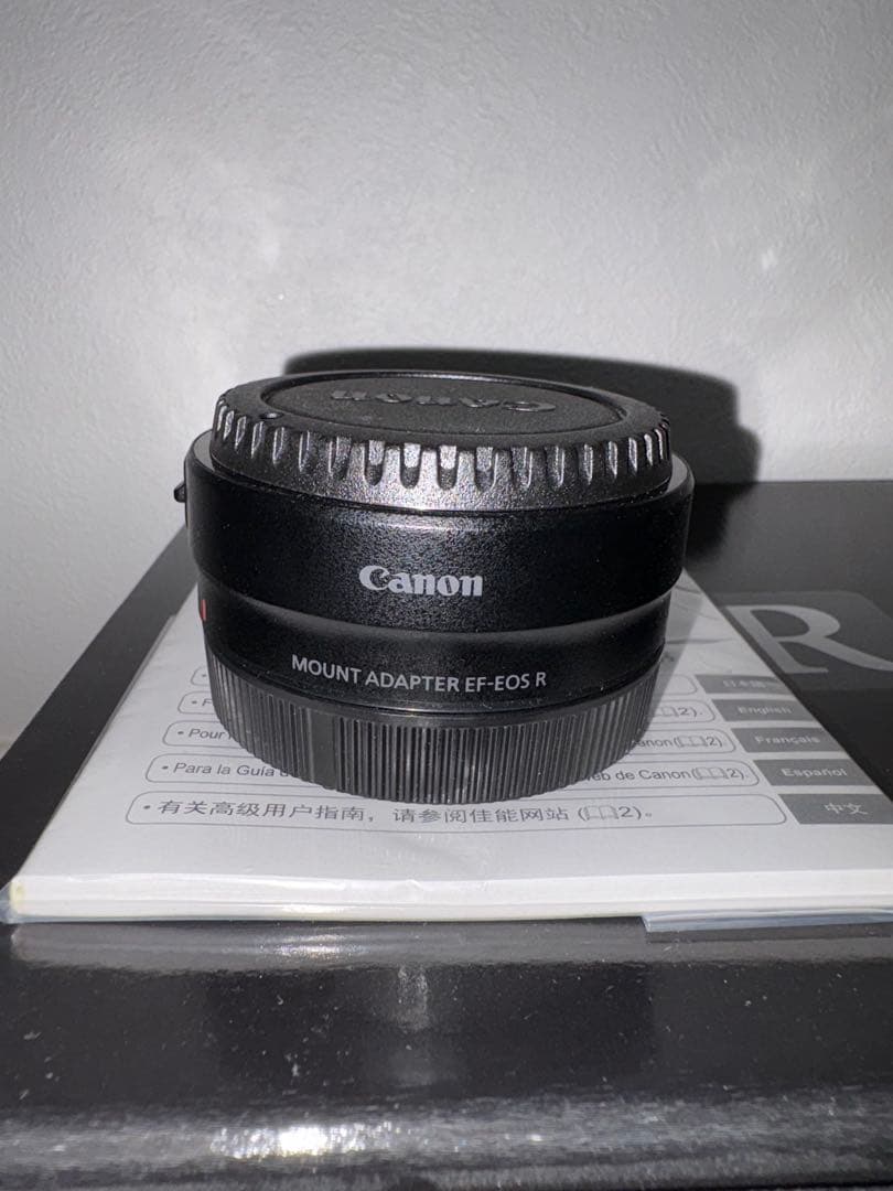 Canon Mirrorless Interchangeable Lips Eos R6