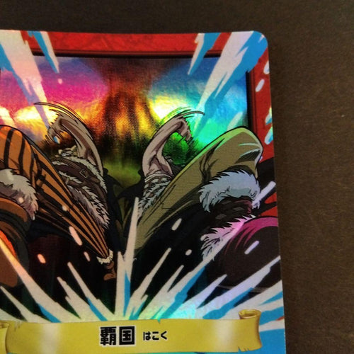 One Piece Card Game Onepiece H11