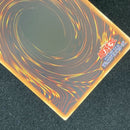 Yu -Gi -Oh! Ocg Duel Monsters Cdip-Jp003 Tcg 233