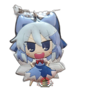 Strap Project