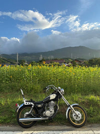 Yamaha Motorcycle Frames Sr400