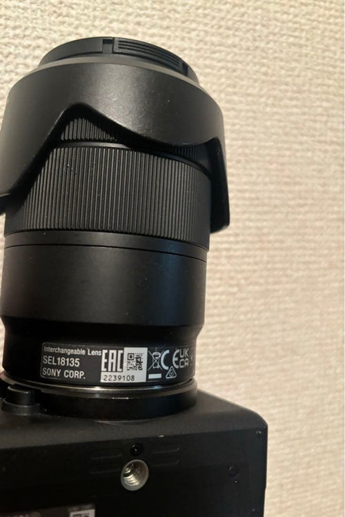 Sony Mirrorless Interchangeable Lens Cameras 6700