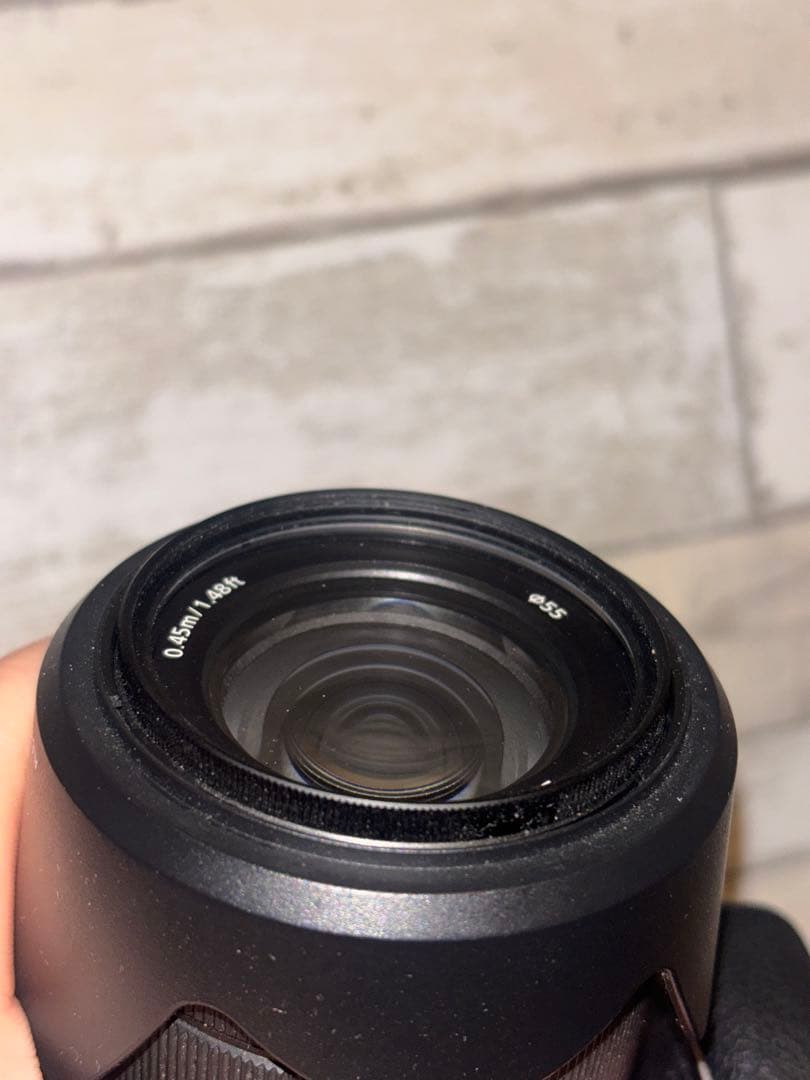 Sony Mirrorless Interchangeable Lens Cameras 6700