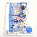 Illustrations Pi209-4812