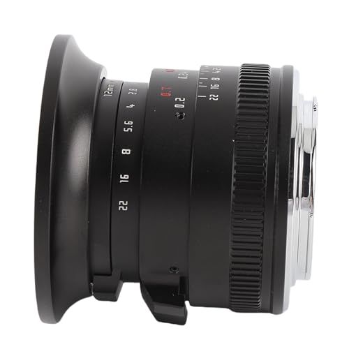 Others X F2 Aps-C 10