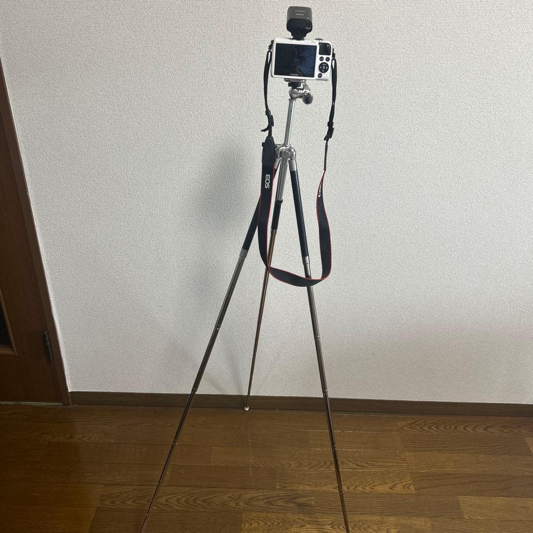 Canon Digital Slrs