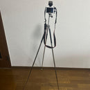 Canon Digital Slrs